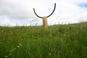Sculpture made of a tall tree trunk wood base with an ark of cast iron slotted into the top reaching upwards. It stands in a field of long grass and wild flowers.