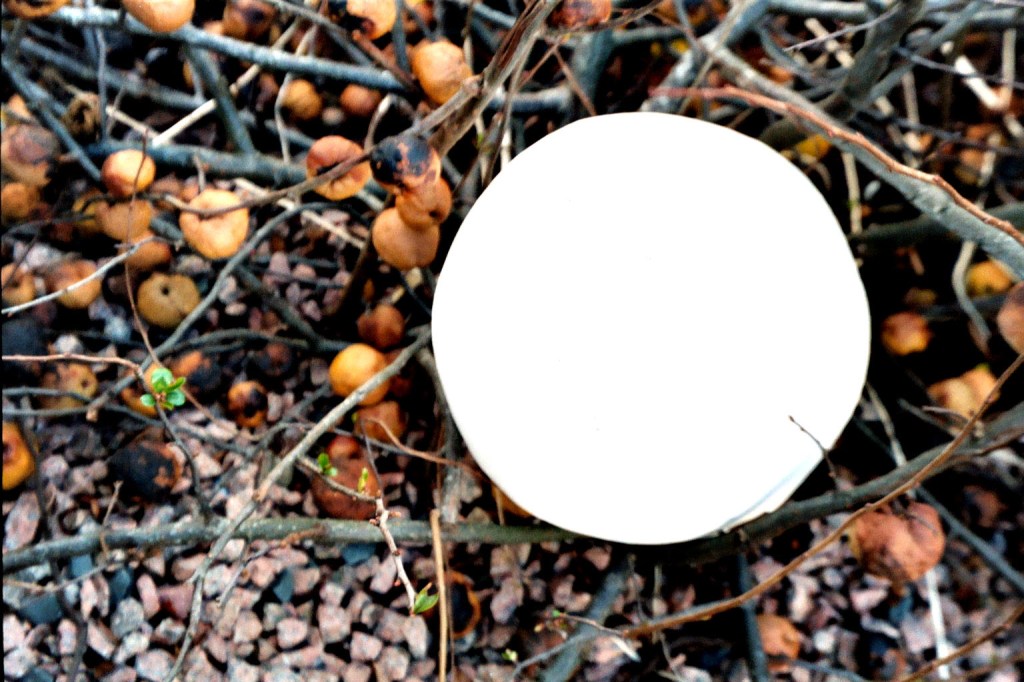 White round ball like clay sculpture resting on twigs, quince and stones