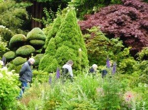 Trees in garden with Peter Hay Halpert, Huw Warren and Esther Woolfson.