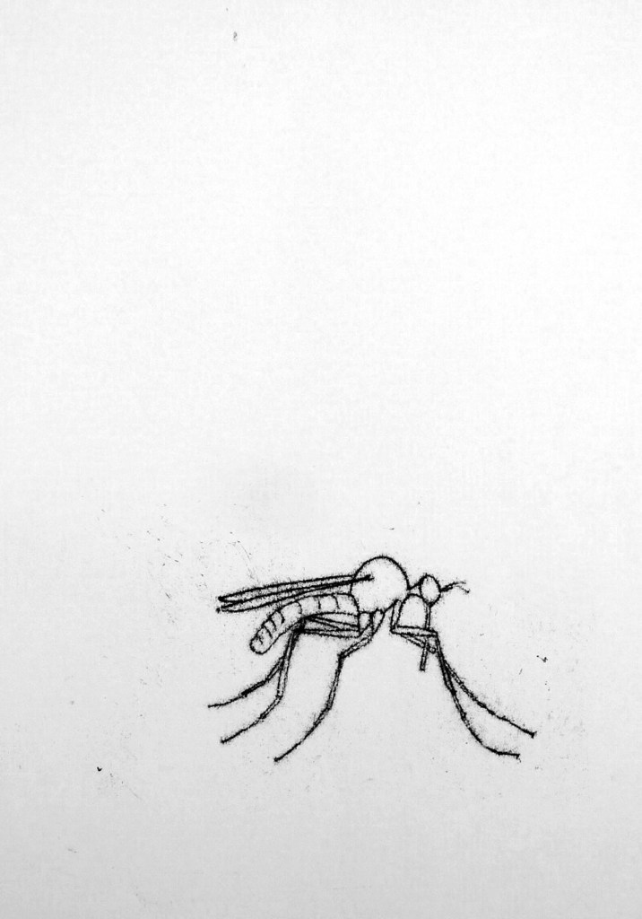 Black and white ink drawing of midge