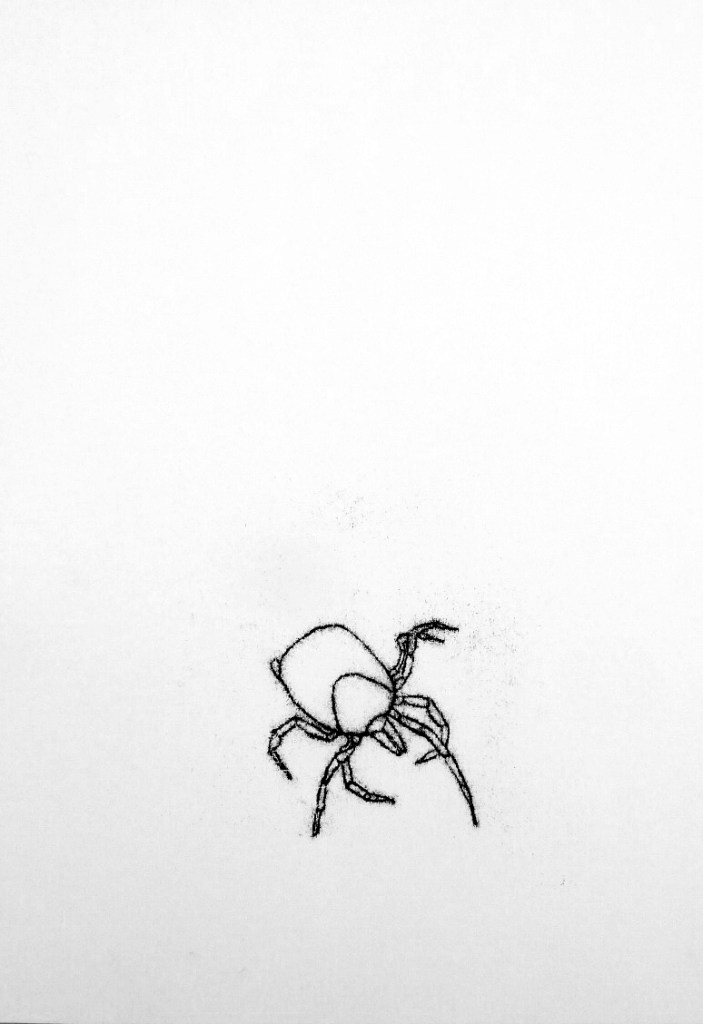 Ink drawing of questing tick