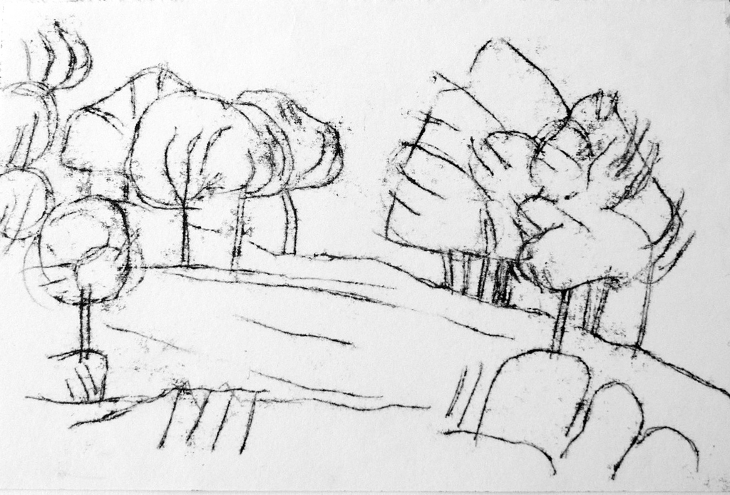 Ink monotype drawing of pinsapo pines and umbrella pines on a hill.