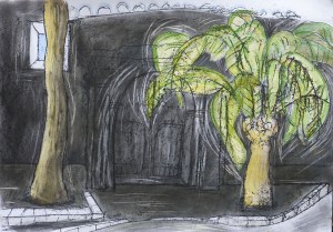 Exterior of a spanish church in shade with a large green and brown palm tree in front