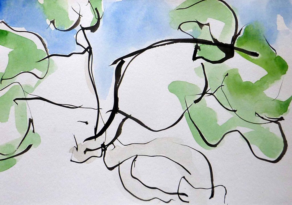 Painting in ink and watercolour of fig tree with blue sky