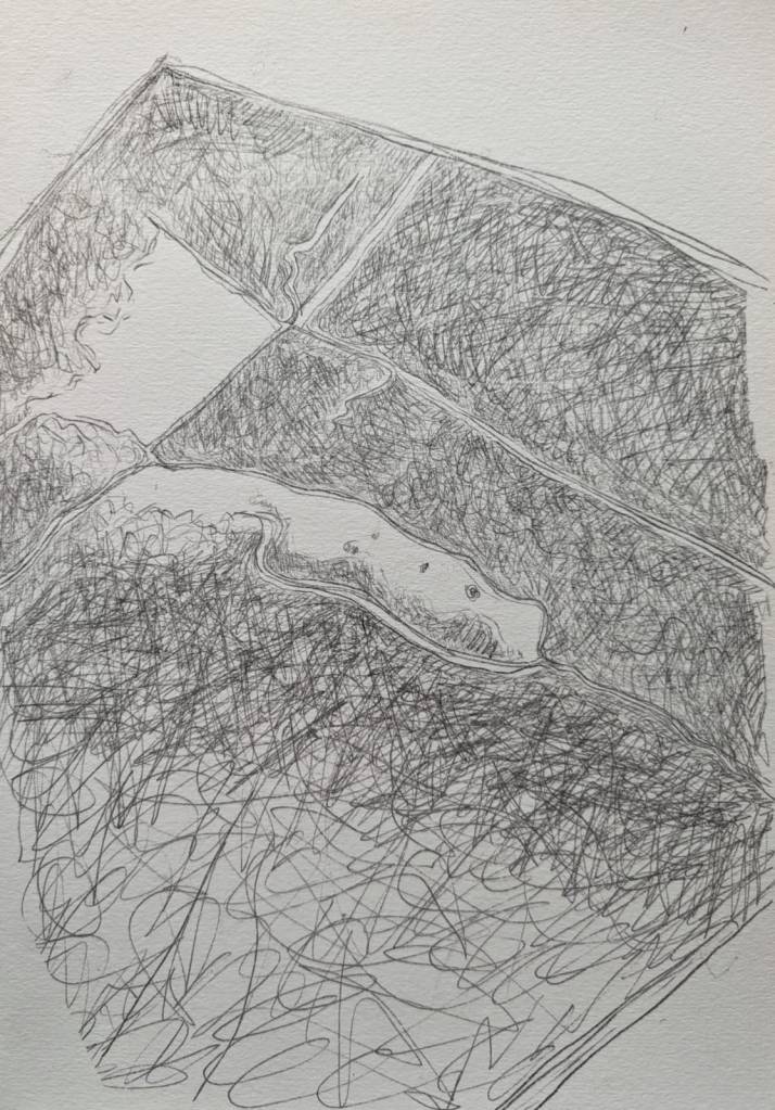 Abstract drawing of a square shape with wiggly lines and random shapes within ght esquare