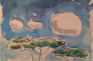 Watercolour and ink painting of treetop with clouds above and blue sky