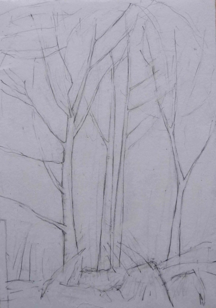 Drawing of three bare trees