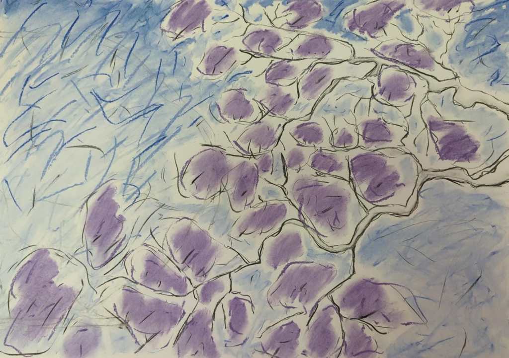Painting of lilac coloured jacaranda flowers on a branch against a blue sky. Charcoal and soft pastels by Sera James Irvine.