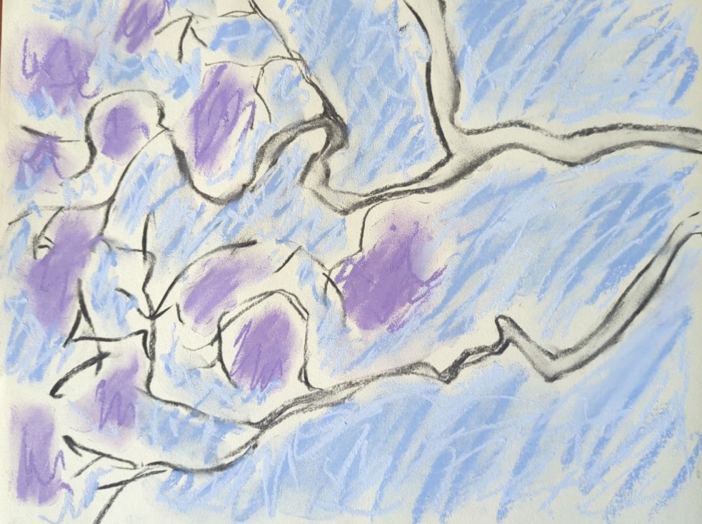 Painting of lilac coloured jacaranda flowers on a branch against a blue sky. Charcoal and soft pastels by Sera James Irvine.