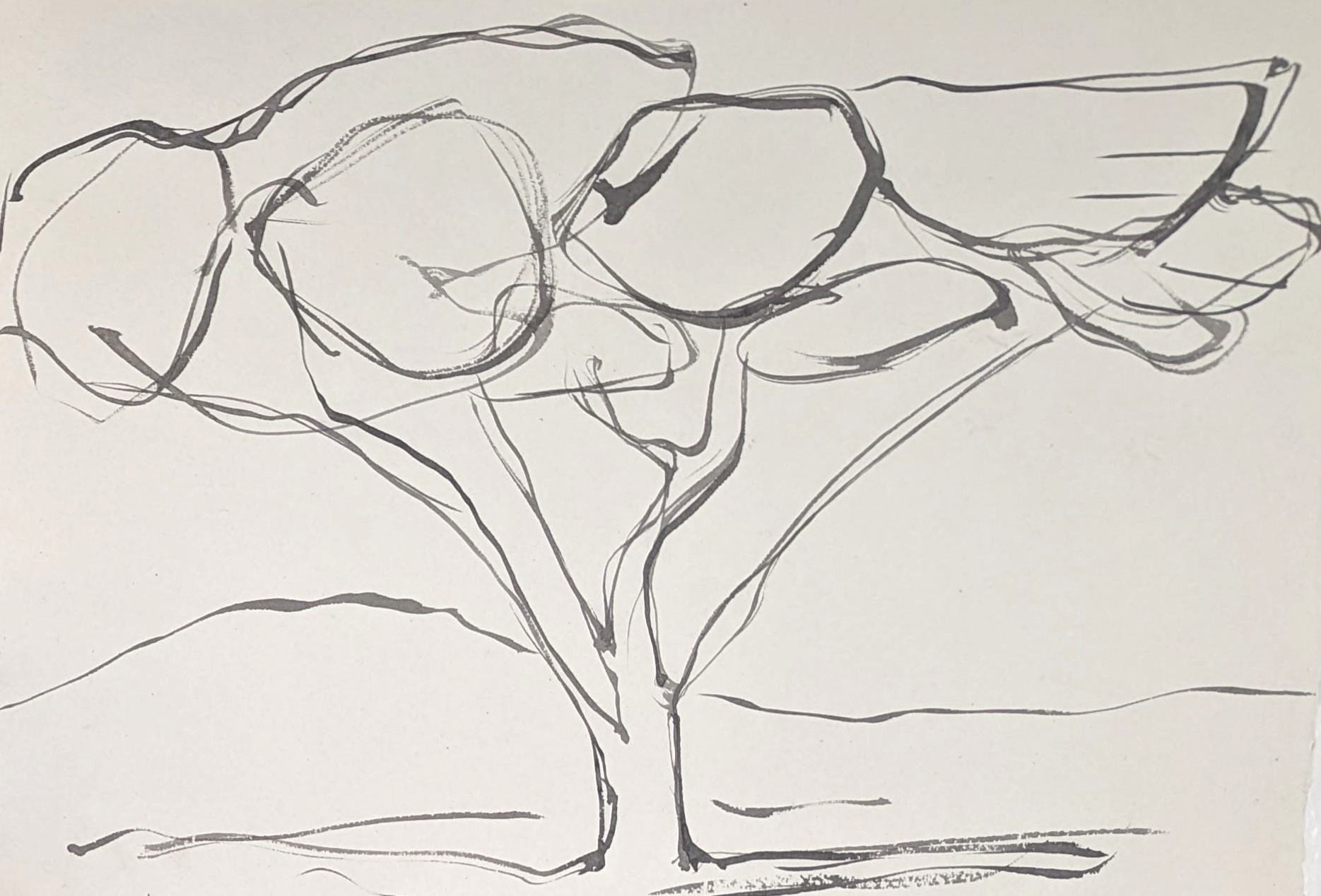 Ink line drawing of single tree by Sera James Irvine.