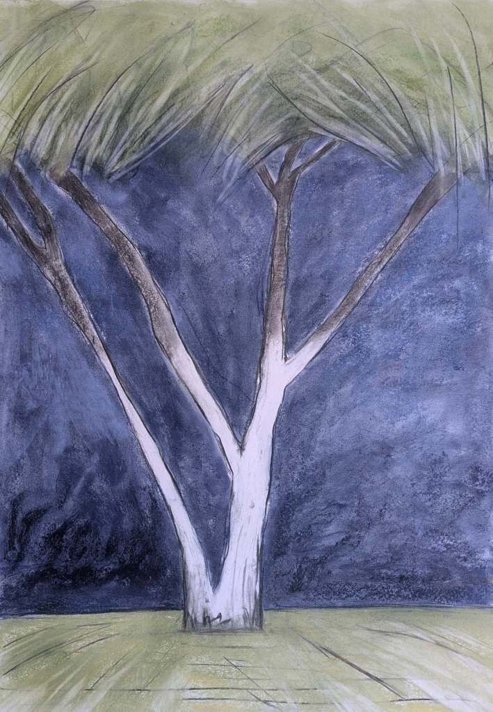 Painting of tree trunk in shadow and light, with canopy above and grass below and dark sky behind. Charcoal and soft pastels by artist Sera James Irvine.